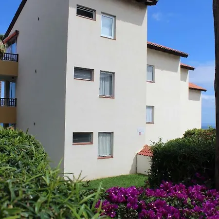 Holidaynorthtenerife Exotic Apartament Los Realejos Exterior photo