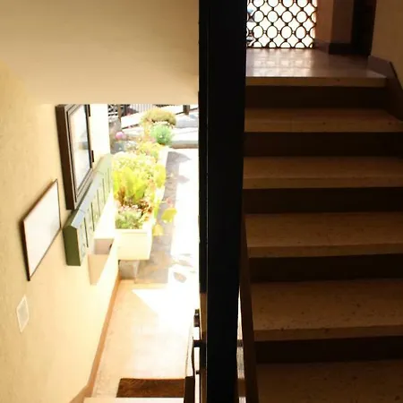 Holidaynorthtenerife Exotic Apartament Los Realejos Exterior photo