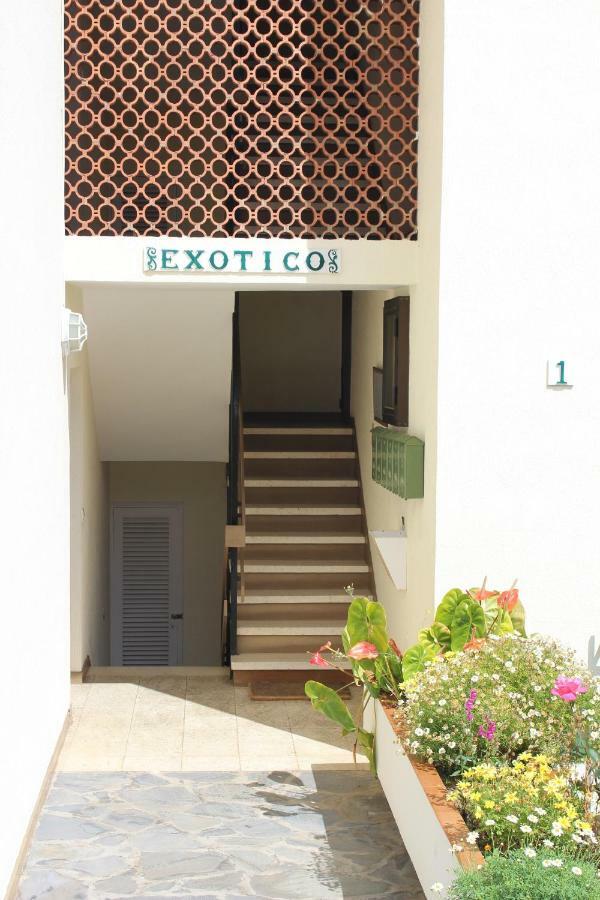 Appartamento Holidaynorthtenerife Exotic Los Realejos