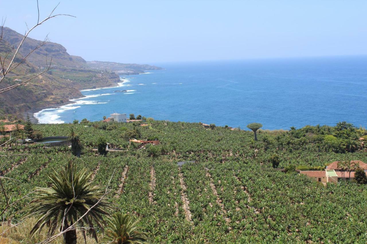 Holidaynorthtenerife Exotic Appartamento